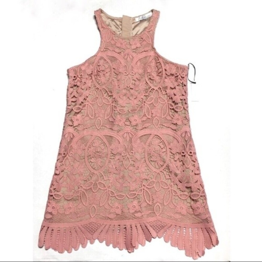 Lovers + Friends Caspian Shift Pink Dress S NWT - Picture 4 of 7
